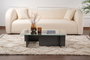 Nordure Mesa de Centro Flavio Antracita Cristal Templado Melamina 105x65x30cm